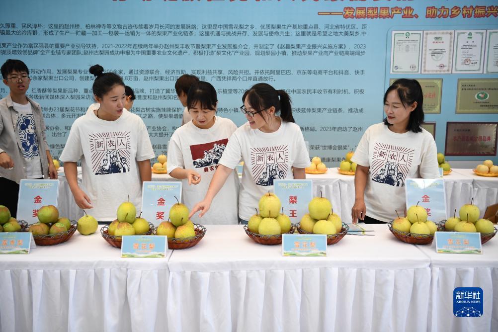 太阳城游戏[中国]官方网址